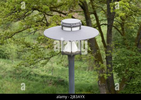 Nahaufnahme der Straßenlaterne von oben im Park mit grünen Bäumen und Gras und Wiese als Hintergrund ohne Spinnennetz, das fast wie neu, Deutschland fliegt Stockfoto