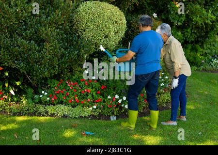 Biracial ältere Frau steht mit Ehemann Gießblumen und Pflanzen mit Gießkanne im Hof Stockfoto