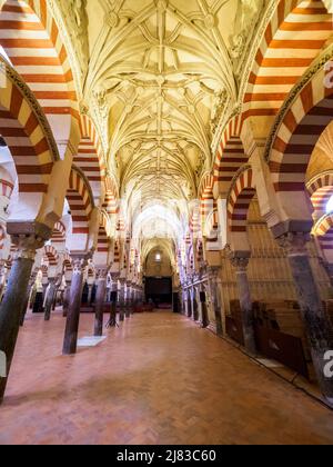 Dekorierte Torbögen und Säulen im maurischen Stil in der Mezquita-Kathedrale (große Moschee von Cordoba) - Cordoba, Spanien Stockfoto