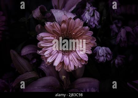 Blumensträuße von abwechslungsreichen Blumen Feier und Veranstaltung, Natur Stockfoto