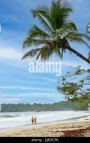 Playa Grande, Parque Nacional Manzanillo, Provinz Limón, Republik Costa Rica Stockfoto