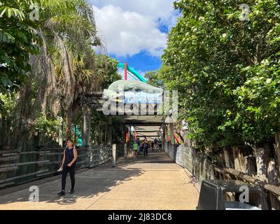 Tampa, FL, USA - 11. November 2021: Die Wasserfahrt der Congo River Rapids in Busch Gardens in Tampa, Florida. Stockfoto
