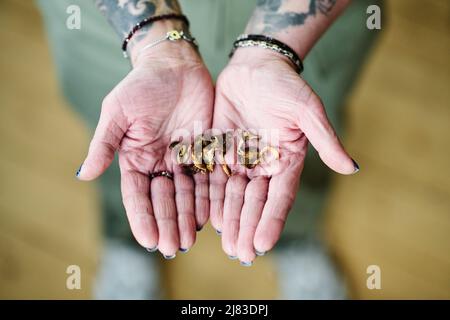 Draufsicht Aufnahme einer unkenntlich reifen Frau mit Tätowierungen auf den Armen, die getrocknete Pilze in den Händen halten, Mikrodosierkonzept Stockfoto