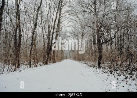 Ein verschneiten Park in Leipzig. In der Ferne laufen zwei Leute eine Straße hinunter. Stockfoto