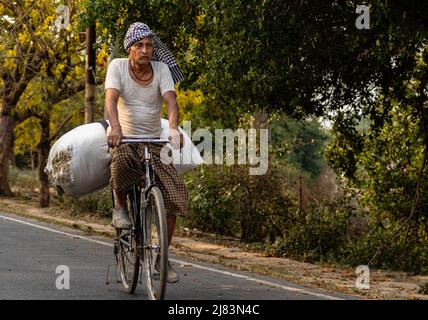 Ein alter indischer Mann, der Futter auf dem Fahrrad für seine Ketten trägt. Stockfoto