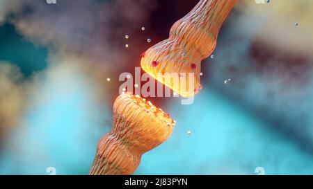 Mechanismen zur Freisetzung von Neurotransmittern. Neurotransmitter werden in synaptische Vesikel verpackt und übertragen Signale von einem Neuron zu einer Zielzelle Stockfoto