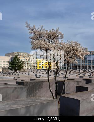 Holocaust-Mahnmal, Berlin-Mitte, Berlin, Deutschland Stockfoto