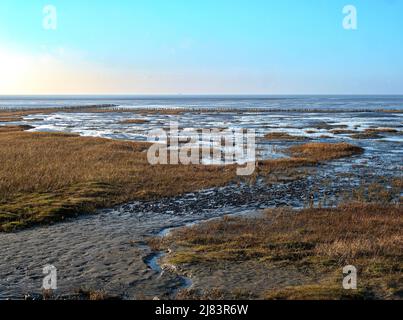 Deich- und Schlammlandschaft an der nordfriesischen Küste von Friedrichskoog, mit der Nordsee und dem Nationalpark Schleswig-Holsteinisches Wattenmeer dahinter Stockfoto