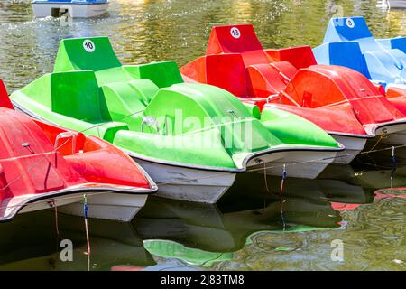 Bunte Plastik-Katamarane stehen in einer Reihe auf der Wasseroberfläche des Stadtteiches. Sommerurlaub auf dem Wasser. Unterhaltung Stockfoto