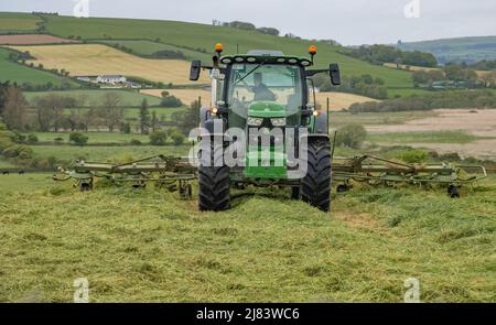 Tedding Gras für Silage in der Nähe von Lislevane, Co. Cork Stockfoto