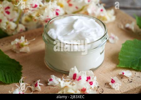 Ein Glas Salbe aus Rosskastanienblüten. Kräutermedizin. Stockfoto