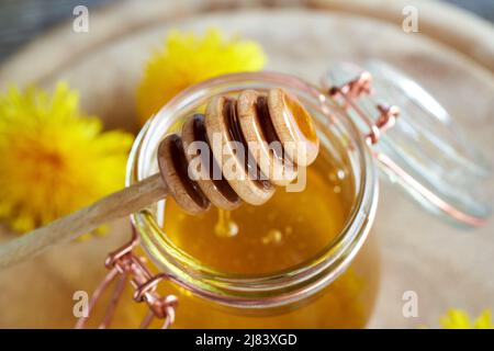 Dandelion Honig auf einem Dipper, mit frischen Blumen im Hintergrund Stockfoto