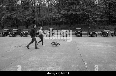 Die Mitglieder des Autoclubs Pre war Austin 7 und ihre Dackel nehmen an der ‘Century of Sevens-Tour’ durch die Derbyshire Dales Teil. Stockfoto