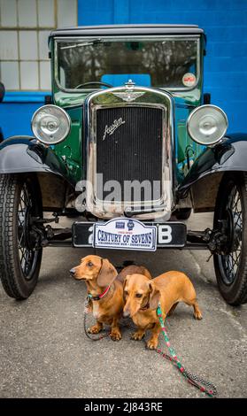 Die Mitglieder des Autoclubs Pre war Austin 7 und ihre Dackel nehmen an der ‘Century of Sevens-Tour’ durch die Derbyshire Dales Teil. Stockfoto