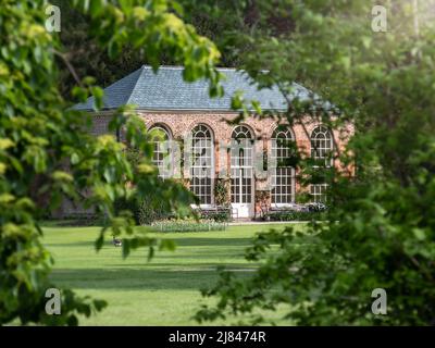 Dunham Massey National Trust Orangery Stockfoto