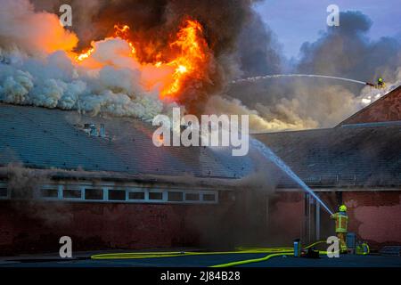 Hannover, Deutschland. 12.. Mai 2022. Eine Turnhalle der Schillerschule im Stadtteil Kleefeld ist in Flammen. Großalarm für die Feuerwehr Hannover: Aus noch ungeklärter Ursache ist in zwei Turnhallen einer Schule im Landkreis Kleefeld ein Brand ausgebrochen. Es gab zunächst keine Hinweise auf Verletzte. Quelle: Moritz Frankenberg/dpa/Alamy Live News Stockfoto