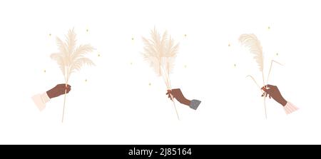 Trockenes Pampagras in afrikanischen weiblichen Händen. Beige cortaderia im Boho-Stil. Vektor getrocknete Blume auf weißem Hintergrund. Trendiges Element-Design für Stock Vektor