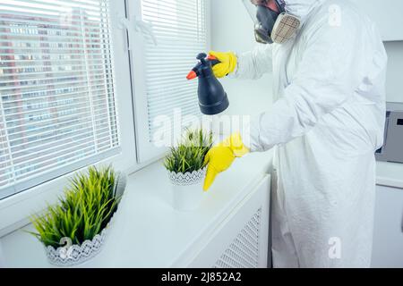 Schädlingsbekämpfung Arbeiter in Uniform Sprühen Pestizide unter Schrank in der Küche Blume auf Fenster Stockfoto