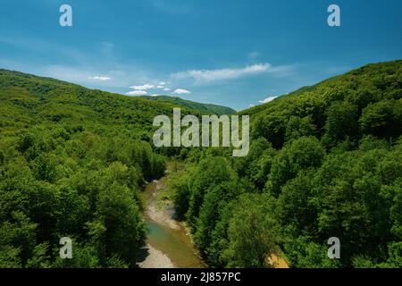 Fliegen Sie an einem sonnigen Tag im Frühling über einen klaren Fluss, grüne Waldbäume und Berge. Russland, Region Krasnodar, Kaukasus, Süden. Stockfoto