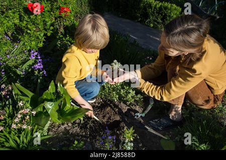 Mutter und kleiner Sohn arbeiten im Garten zusammen. Familie pflanzt an einem Frühlingstag Blumen in offenem Boden. Tag Der Erde. Gartenarbeit mit Liebe. Nützlicher Zeitvertreib. Hilfe Stockfoto