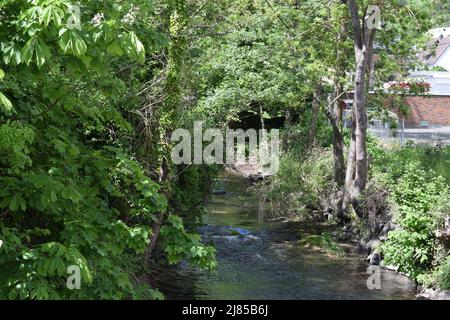 Fluss nette in der Kleinstadt Mayen Stockfoto