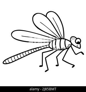 Niedliche Libelle. Geflügeltes Insekt. Lineare Handzeichnung. Vektorgrafik. Charakter für Design, Dekor, Dekoration und Druck Stock Vektor