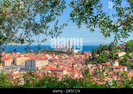 Piran, Istrien, Küstenland, Slowenien, Europa Stockfoto