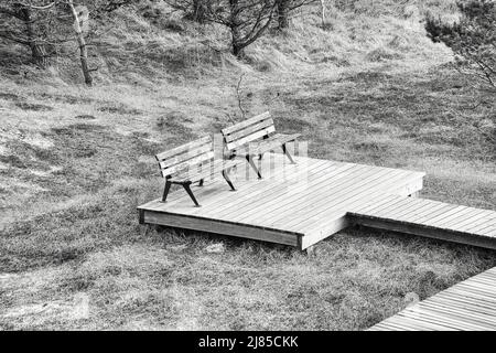 Holzsteg in Schwarz und Weiß mit Bank bei hoher Düne auf darss. Nationalpark in Deutschland. Naturfoto Stockfoto