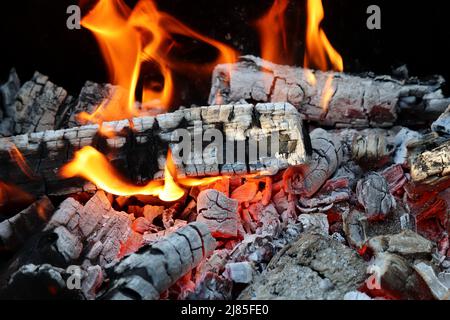 Offenes Feuer, brennende Protokolle. Hintergrund für Kochen im Freien, Campingküche, Picknick mit Lagerfeuer Stockfoto