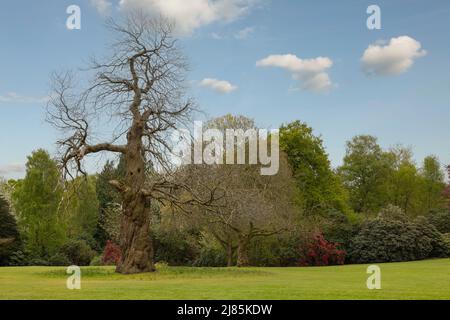 Öffentliche Parkanlagen und Gärten, die für Besucher sehr gepflegt sind Stockfoto