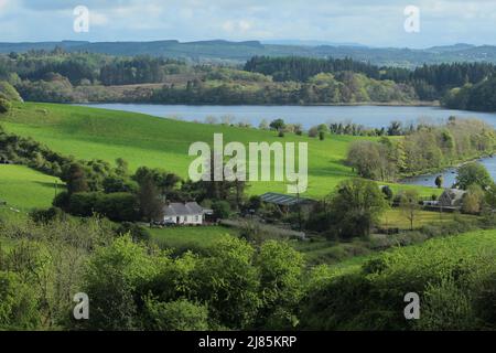 Die Landschaft der ländlichen Grafschaft Leitrim, Irland, liegt im Sommer am Ufer des Lough Gill und bietet ein Cottage inmitten von Feldern und Bäumen Stockfoto