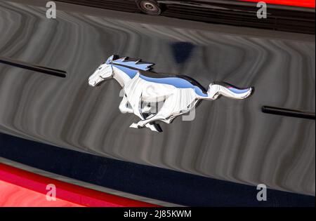 Samara, Russland - 8. Mai 2022: Ford Mustang Logo auf dem Auto. Der Ford Mustang ist ein amerikanisches Automobil, das von Ford hergestellt wird Stockfoto