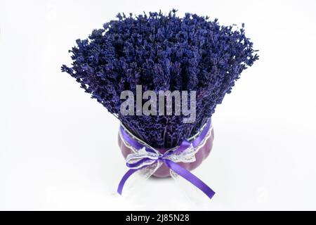 Wunderschöner lila Lavendel im Blumentopf, Nahaufnahme von Lavendel mit Vase, isoliert auf weißem Hintergrund, Draufsicht auf violette Blume Stockfoto