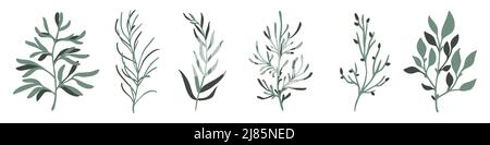 Abstrakte niedliche Zweige. Handgezeichneter Zweig mit Blättern. Satz von Blättern. Branch-Symbol. Vektorgrafik Stock Vektor