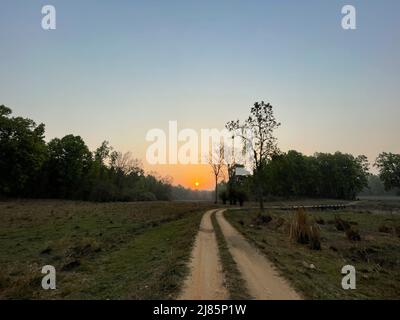 Kanha National Park ( Tiger Reserve ) Landschaft , in Madhya Pradesh Zentral-Indien Stockfoto