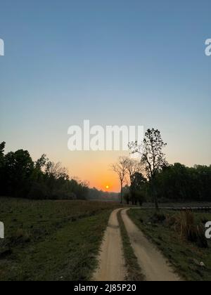 Kanha Tiger Reserve Landschaft während des heißen Sommers in Zentral-Indien Madhya Pradesh Stockfoto