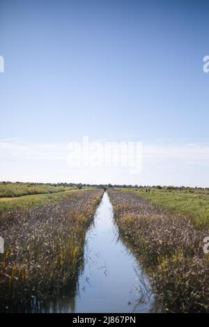 Kanal in Fort Pulaski, Georgia Stockfoto