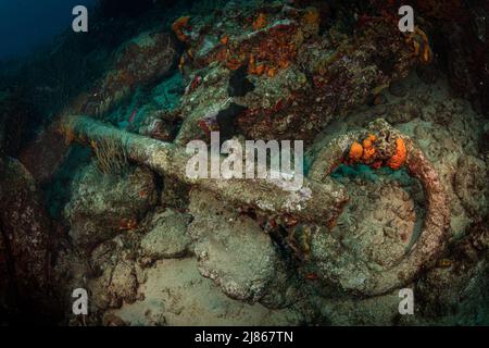 Anker von HMS Proselyte, am Riff vor der Küste von Sint Maarten, Niederländisch-Karibik, zerstört Stockfoto