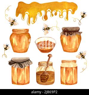 Aquarell frischer Honig Set mit verschiedenen Honiggläsern und Honigbienen. Handgezeichnete natürliche organische Illustration. Stockfoto