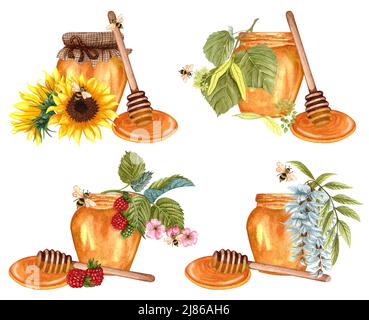 Aquarell Set aus verschiedenen Honig. Honigglas mit Sonnenblume, Akazie, Linde, Himbeere. Handgezeichnete Illustration von natürlichen Bio-Lebensmitteln. Stockfoto