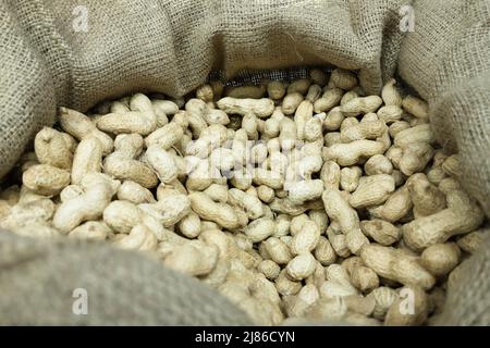 Frische, reife, ungeschälte Erdnüsse aus biologischem Anbau in einem Jutebeutel Stockfoto