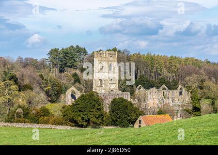 12. Century Fountains Abbey in der Nähe von Ripon, North Yorkshire, England Stockfoto