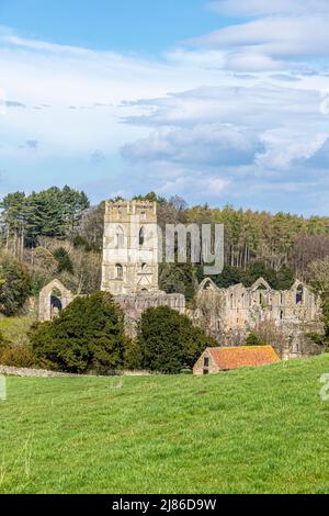 12. Century Fountains Abbey in der Nähe von Ripon, North Yorkshire, England Stockfoto