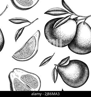 Nahtloses Muster im Hintergrund-Design mit Zitrusfrüchten. Gravierte Ausführung. Handgezeichneter Pomelo. Stock Vektor