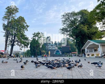 Darjeeling Himalaya Hill Station in West Bengalen Indien Landschaft Stockfoto