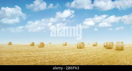 Heuballen in einem Feld von getrocknetem gelbem Gras unter blauem Himmel mit Wolken, Landschaft Stockfoto