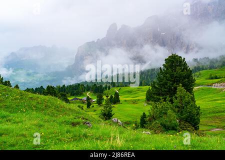 Wunderschöne Landschaft der Sellagruppe in den italienischen Dolomiten am Morgen Nebel mit gelben und rosa Blumen auf dem Hügel am Sellapass, Süd-T Stockfoto