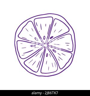 Abbildung der Zitronenscheibe. Stiftzeichnung Stock Vektor