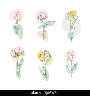 Satz von einer Linie Zeichnung Tulpen. Handgezeichnete einzeilige Blüten mit neutralen abstrakten Formen Stock Vektor