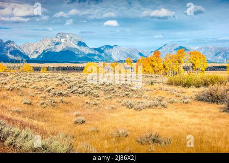 Wiese mit Mount Moran im Hintergrund im Grand Teton National Park, Wyoming, USA Stockfoto